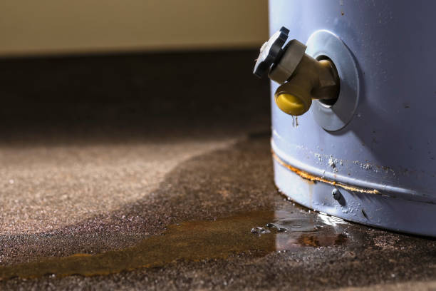 Best Water damage restoration experts  in Edwards, MS