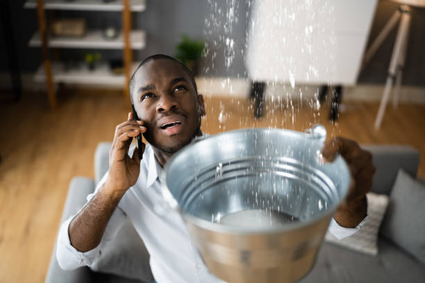 Best Water damage restoration process  in Edwards, MS