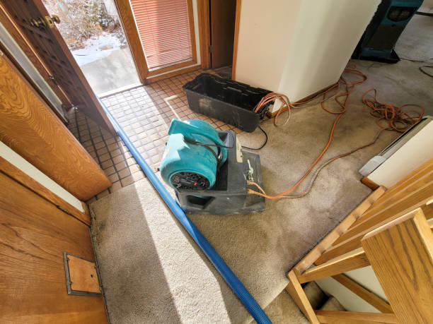 Best Water damage restoration cost  in Edwards, MS