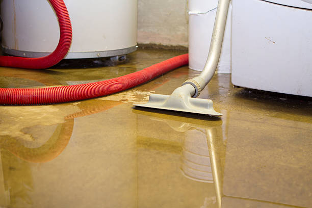 Carpet water damage restoration in MS