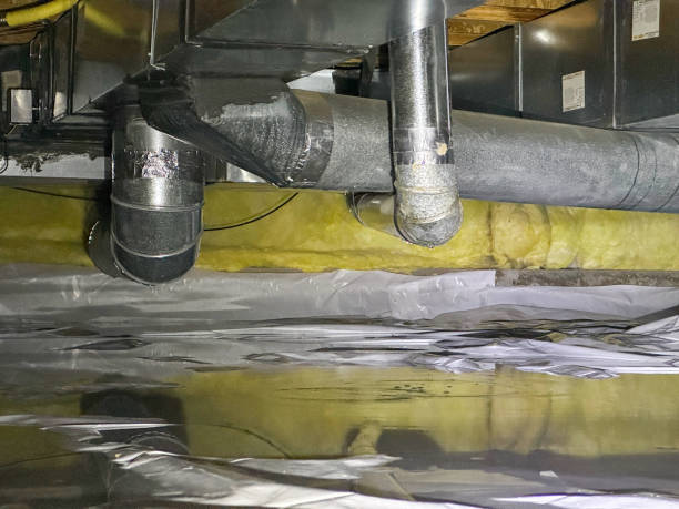 Best Water damage contractors near me  in Edwards, MS