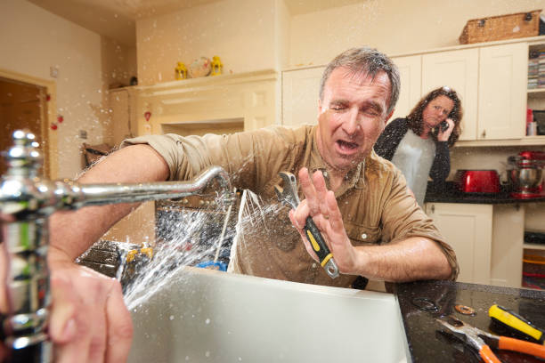 Best Mold removal after water damage  in Edwards, MS